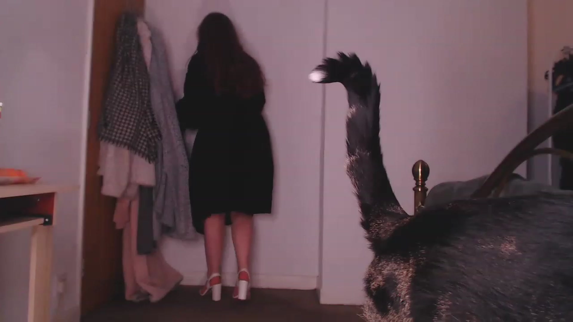 Gallery image thumbnail from KittyCash3w's myfreecams stream on, 04/14/2023, 19:39 image 8 of 20
