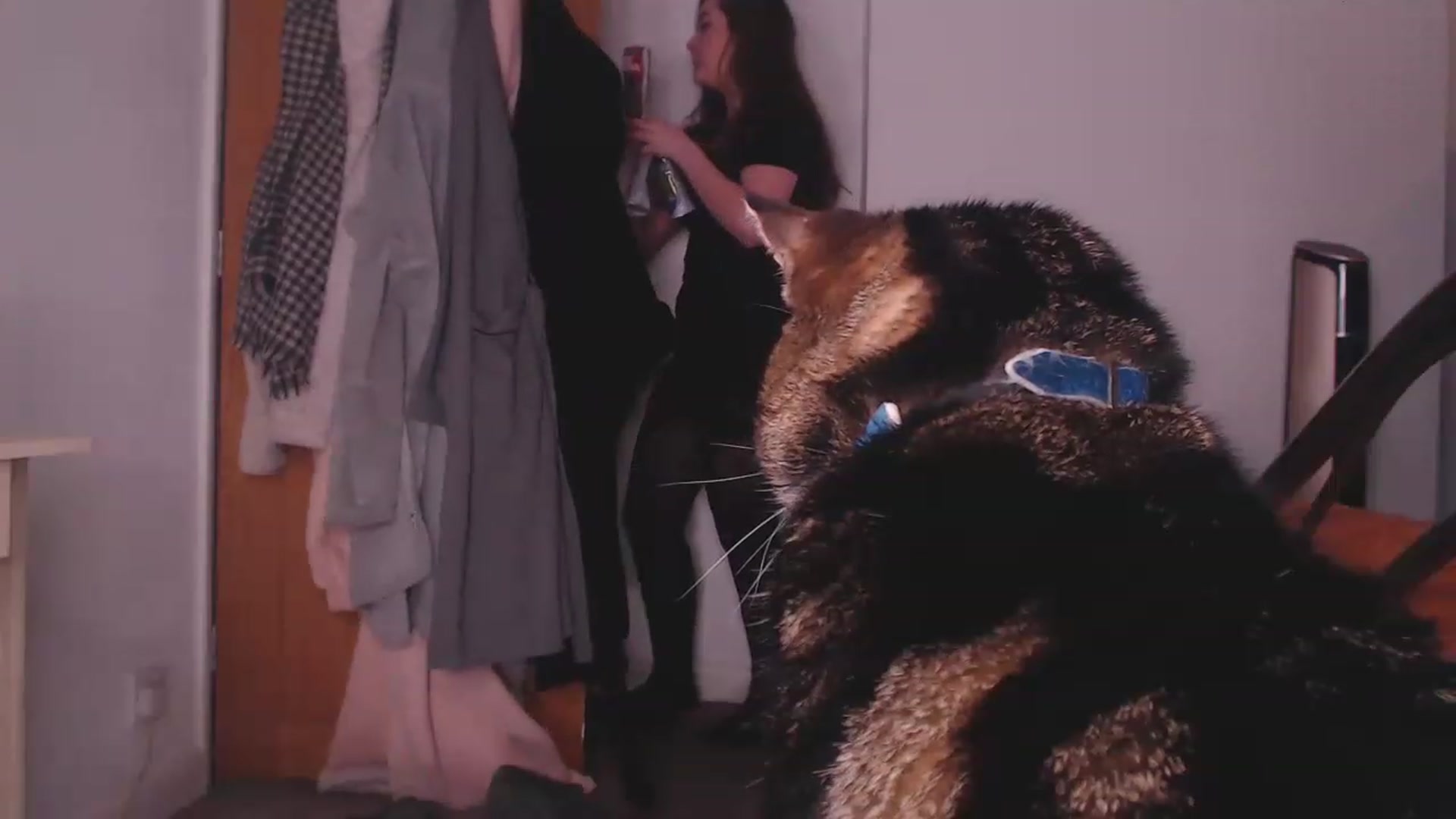 Gallery image thumbnail from KittyCash3w's myfreecams stream on, 04/21/2023, 18:59 image 15 of 20