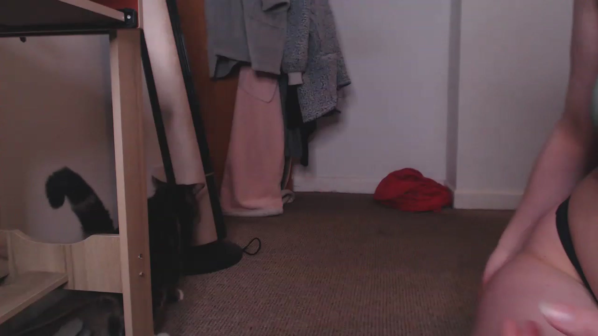 Gallery image thumbnail from KittyCash3w's myfreecams stream on, 05/20/2023, 18:10 image 5 of 20