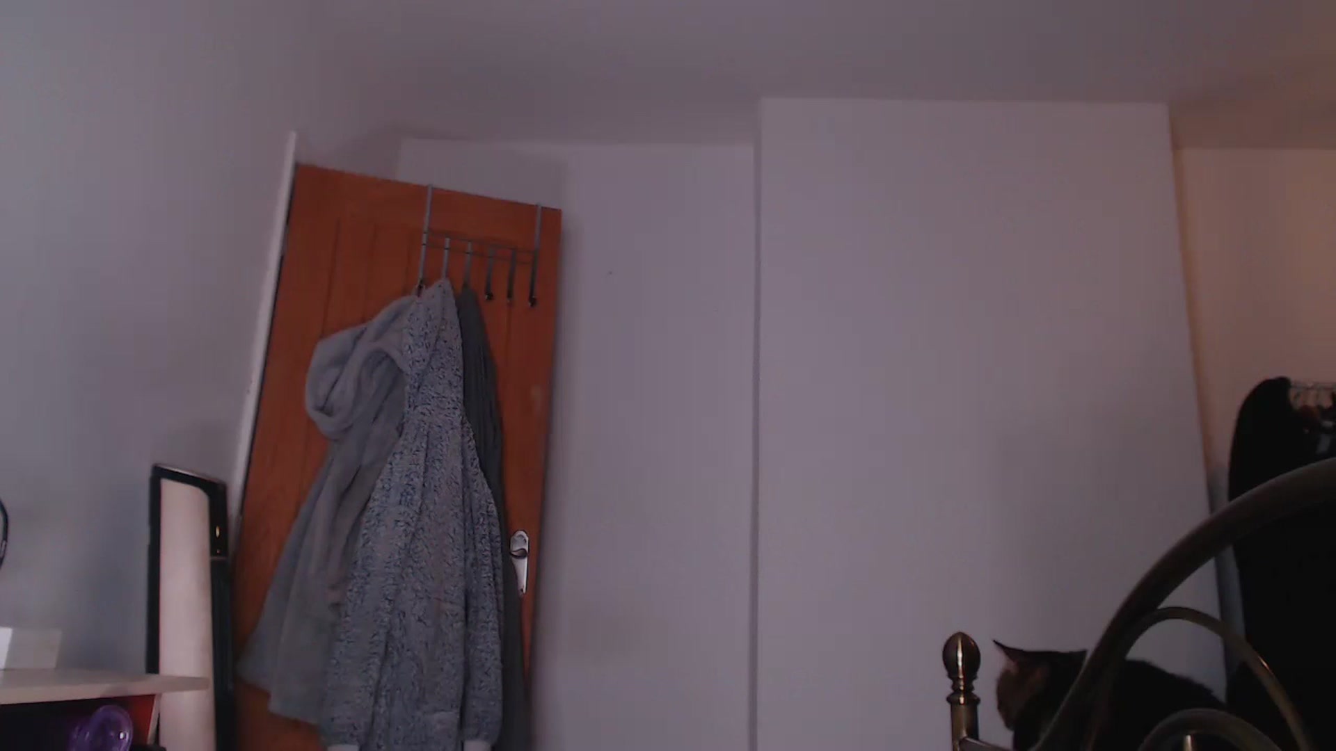 Gallery image thumbnail from KittyCash3w's myfreecams stream on, 05/20/2023, 19:30 image 7 of 20