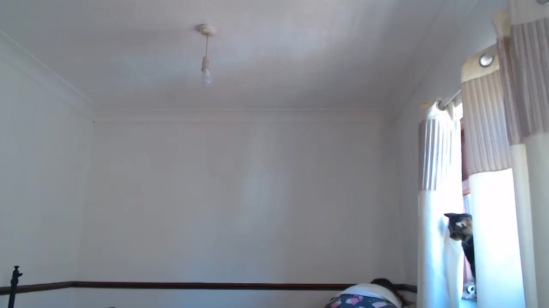 Gallery image thumbnail from KittyCash3w's myfreecams stream on, 06/14/2023, 11:42 image 4 of 20