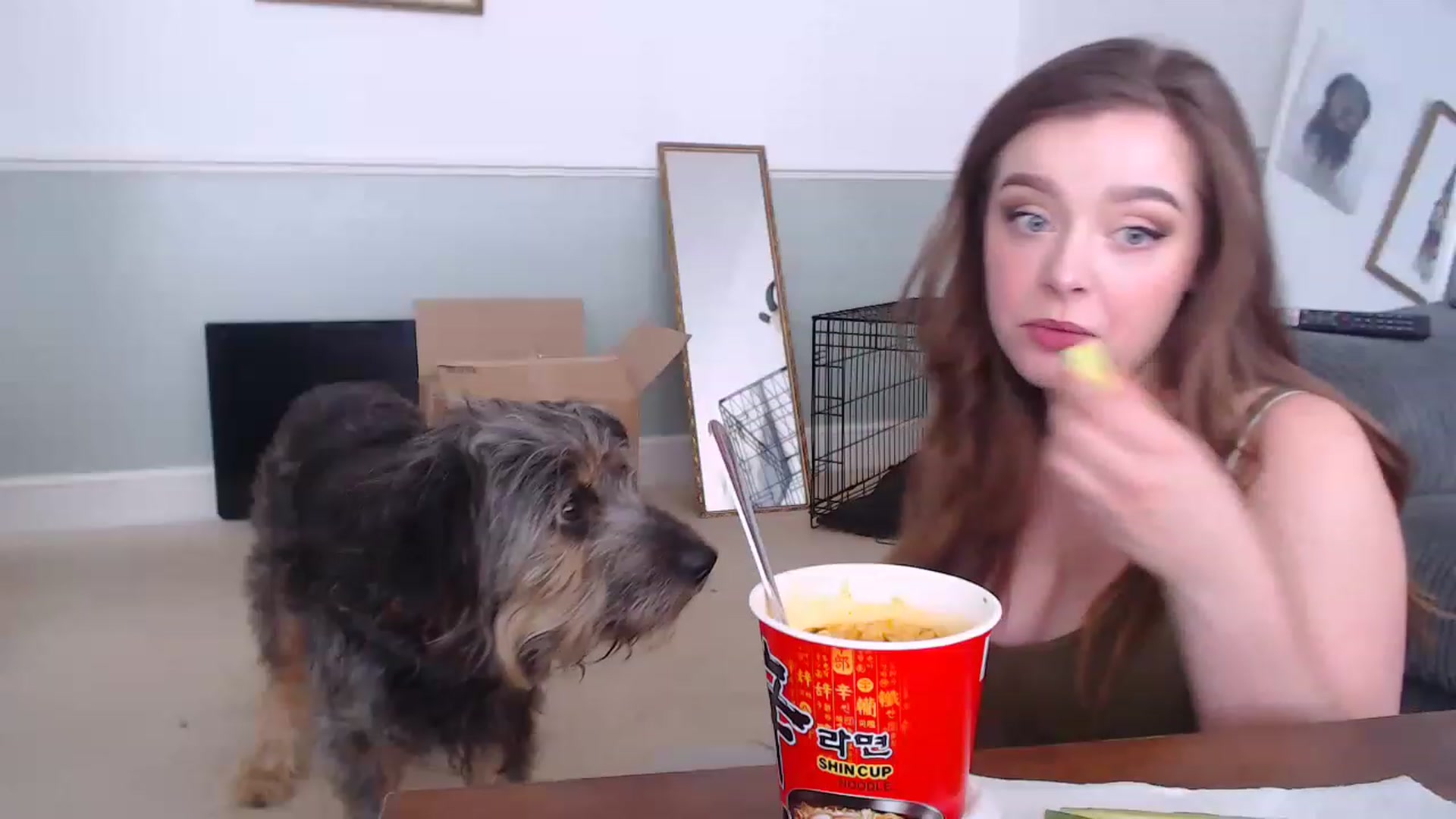 Gallery image thumbnail from KittyCash3w's myfreecams stream on, 06/17/2023, 13:01 image 4 of 20