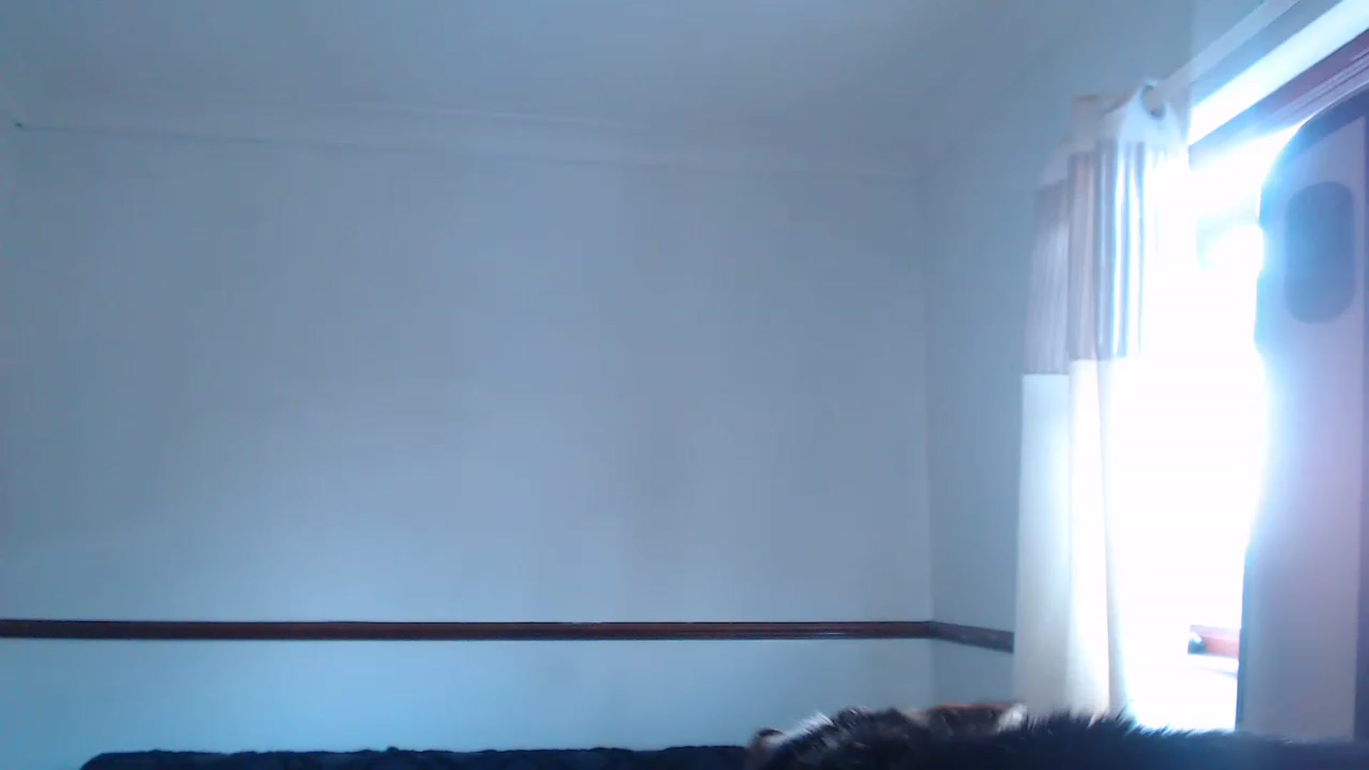 Gallery image thumbnail from KittyCash3w's myfreecams stream on, 06/21/2023, 19:50 image 19 of 20