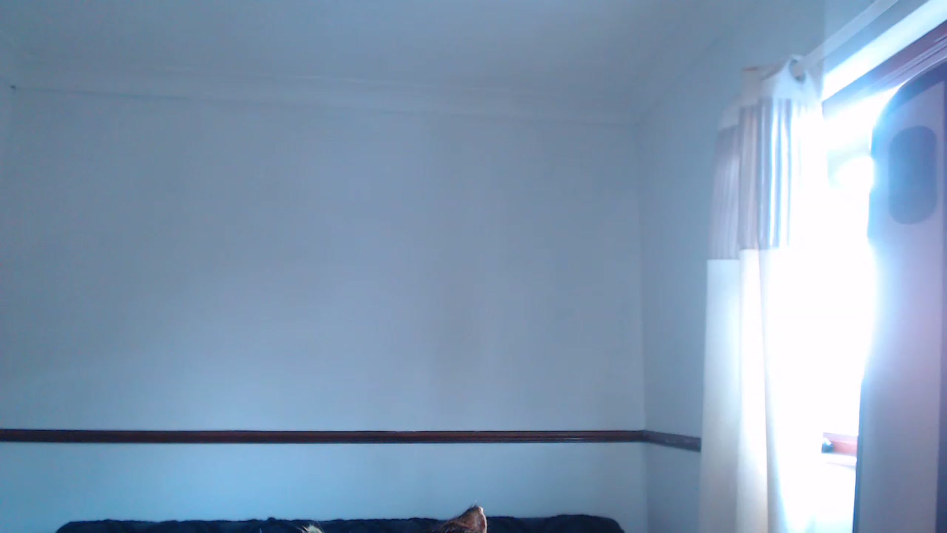 Gallery image thumbnail from KittyCash3w's myfreecams stream on, 06/21/2023, 19:50 image 20 of 20