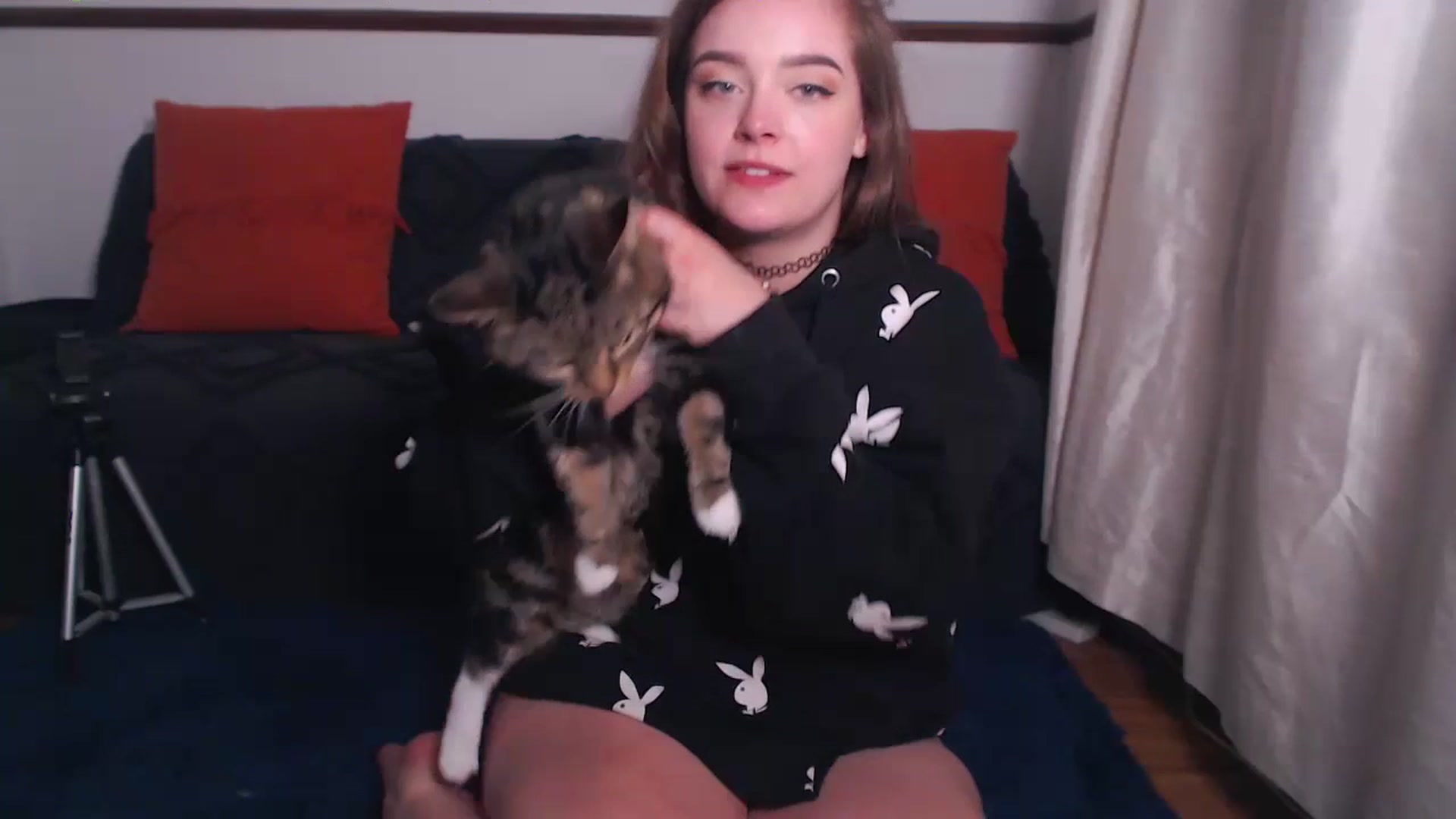 Gallery image thumbnail from KittyCash3w's myfreecams stream on, 07/19/2023, 21:07 image 6 of 20