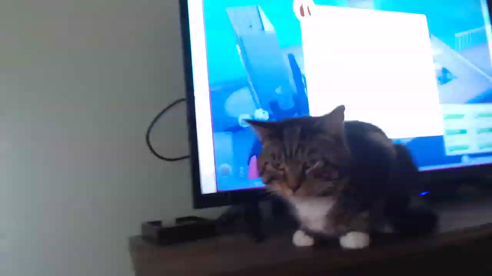 Gallery image thumbnail from KittyCash3w's myfreecams stream on, 07/21/2023, 19:32 image 12 of 20
