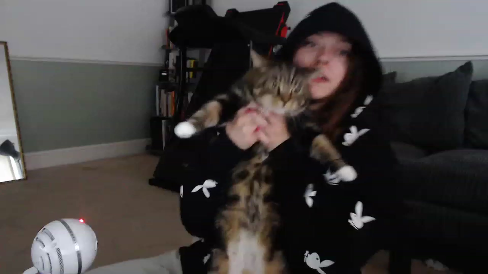 Gallery image thumbnail from KittyCash3w's myfreecams stream on, 07/21/2023, 19:32 image 11 of 20