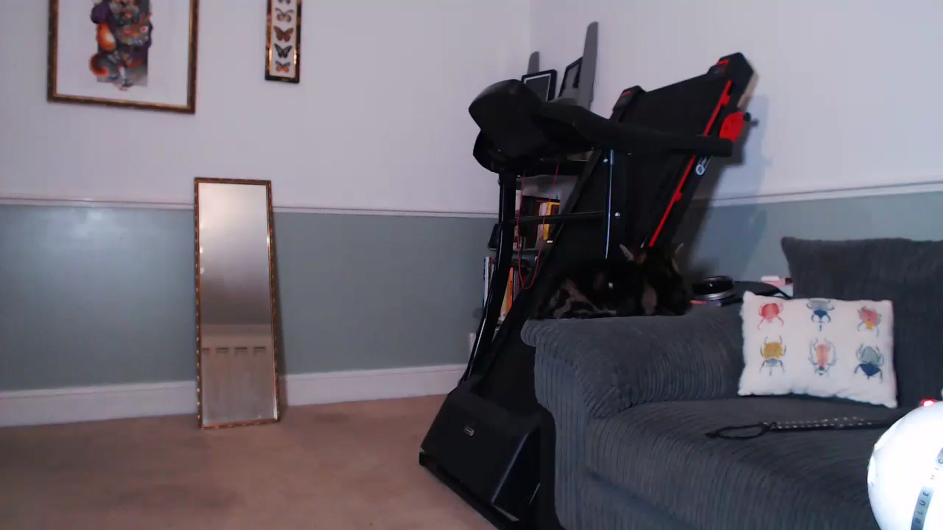 Gallery image thumbnail from KittyCash3w's myfreecams stream on, 08/16/2023, 21:51 image 9 of 20