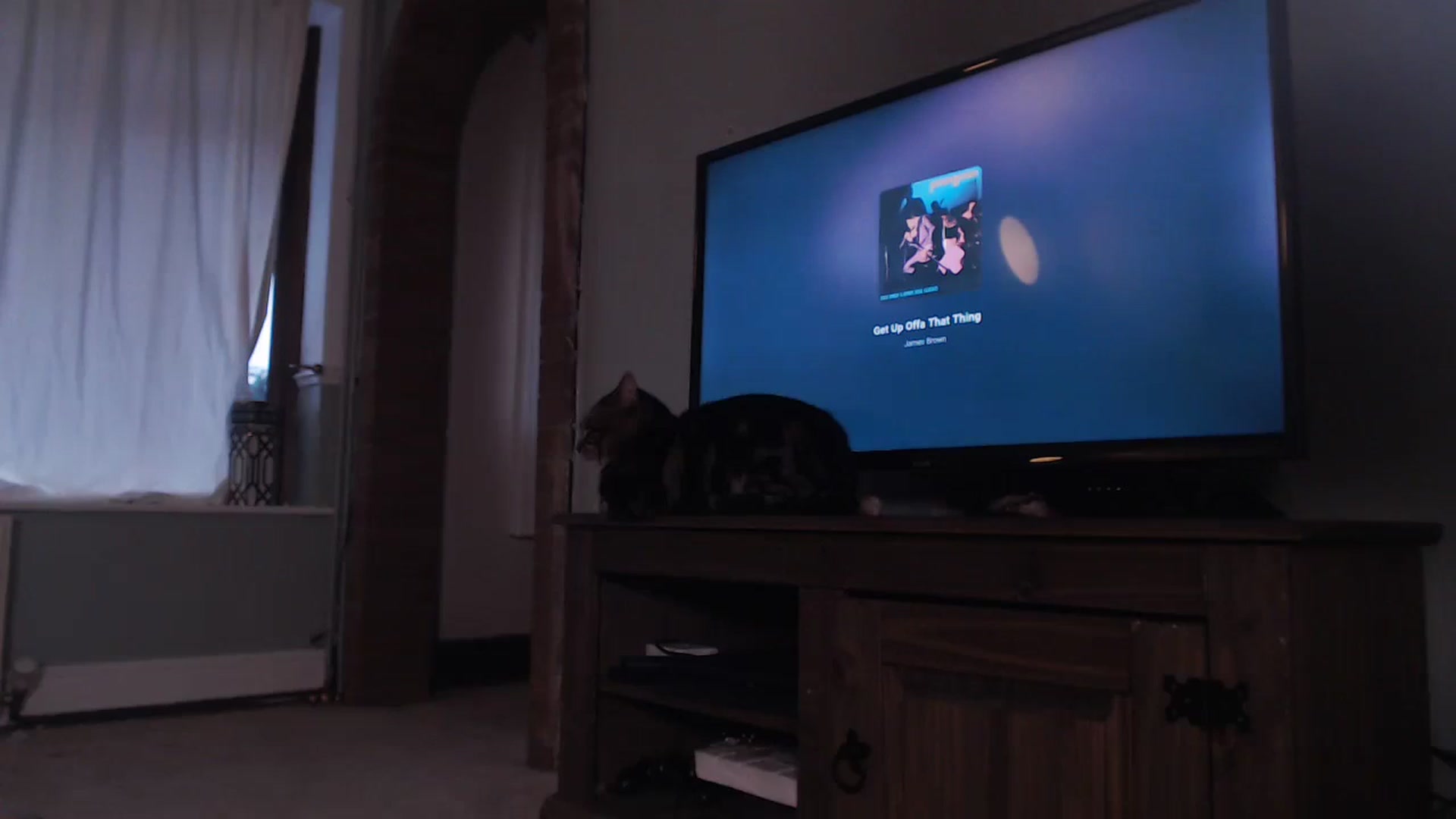 Gallery image thumbnail from KittyCash3w's myfreecams stream on, 08/24/2023, 19:32 image 7 of 20