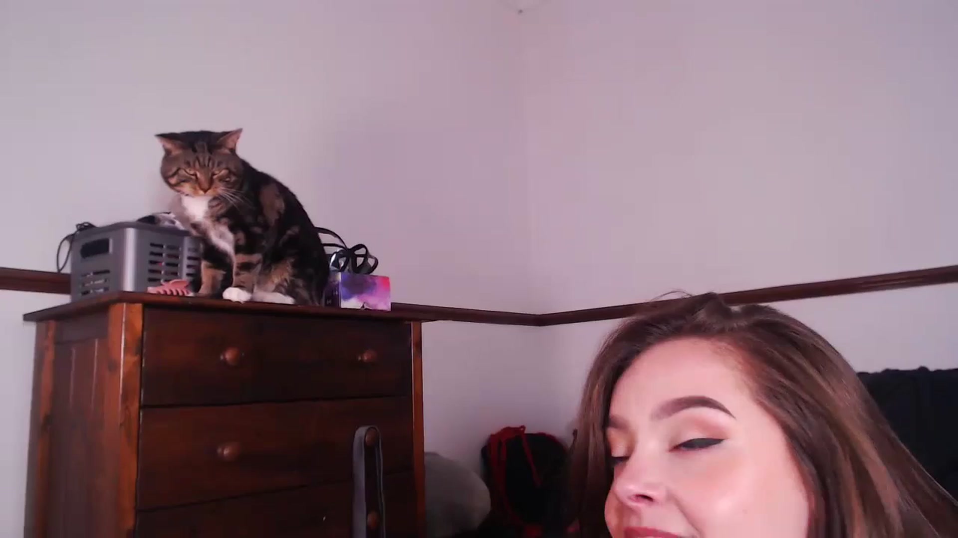 Gallery image thumbnail from KittyCash3w's myfreecams stream on, 09/02/2023, 17:42 image 19 of 20