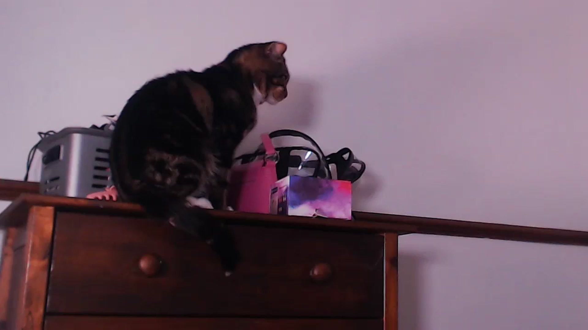 Gallery image thumbnail from KittyCash3w's myfreecams stream on, 09/02/2023, 17:42 image 18 of 20