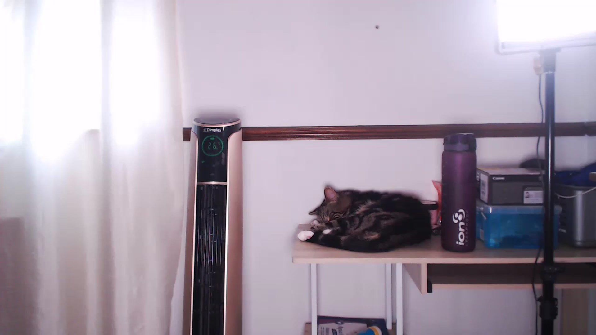 Gallery image thumbnail from KittyCash3w's myfreecams stream on, 09/08/2023, 13:16 image 13 of 20