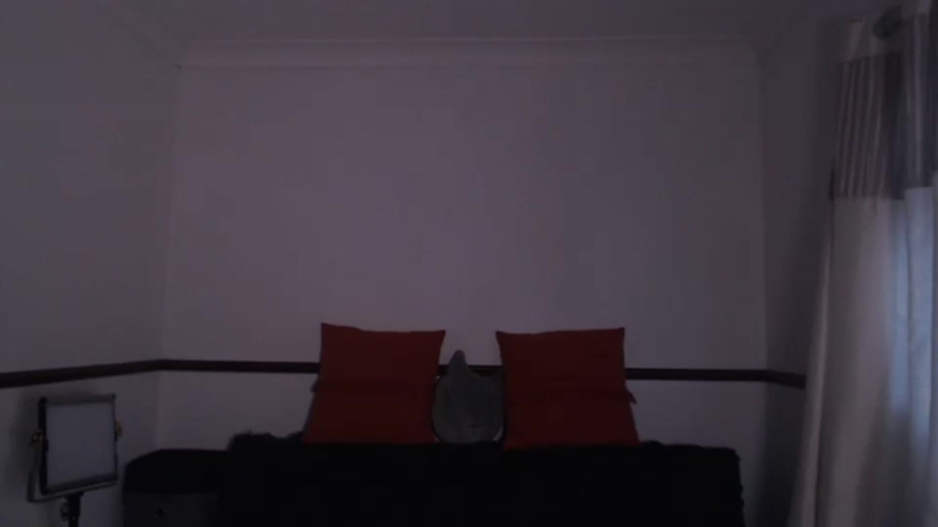 Gallery image thumbnail from KittyCash3w's myfreecams stream on, 09/27/2023, 17:35 image 2 of 20