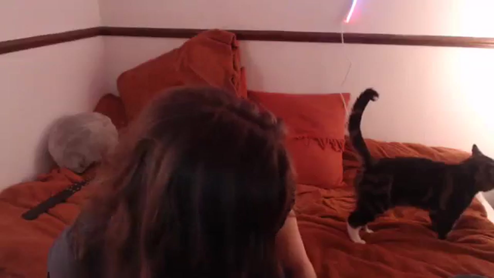 Gallery image thumbnail from KittyCash3w's myfreecams stream on, 10/11/2023, 19:18 image 19 of 20
