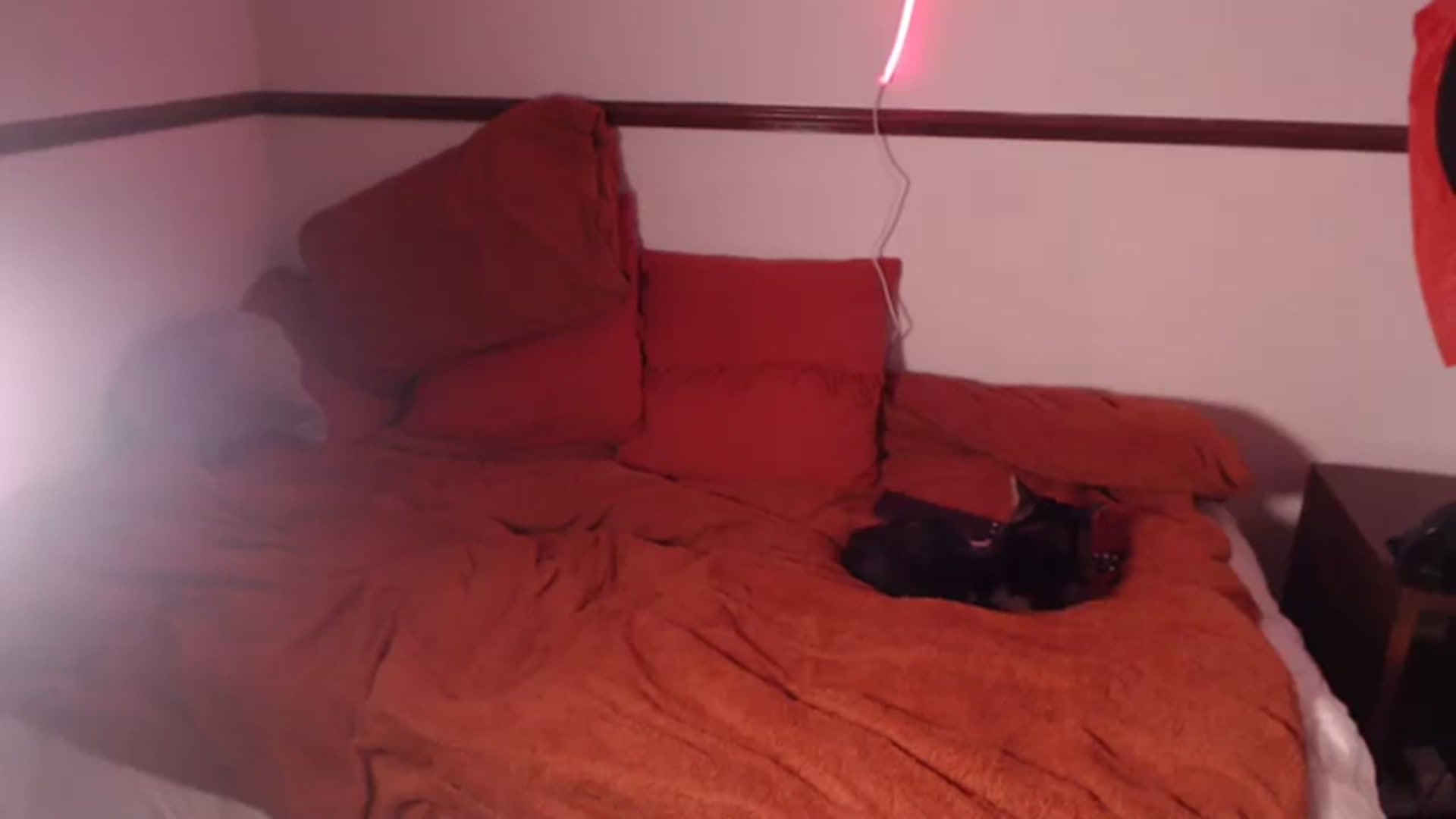 Gallery image thumbnail from KittyCash3w's myfreecams stream on, 10/11/2023, 19:18 image 7 of 20