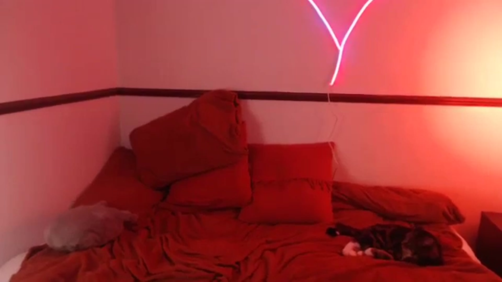 Gallery image thumbnail from KittyCash3w's myfreecams stream on, 10/11/2023, 19:18 image 3 of 20