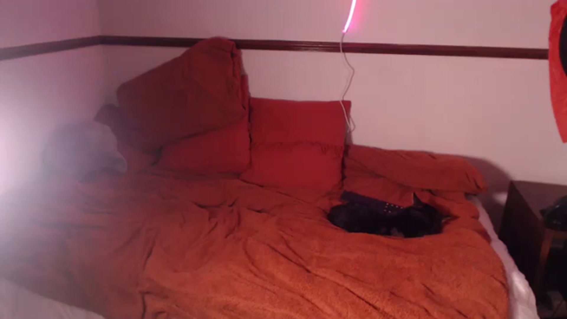 Gallery image thumbnail from KittyCash3w's myfreecams stream on, 10/11/2023, 19:18 image 9 of 20