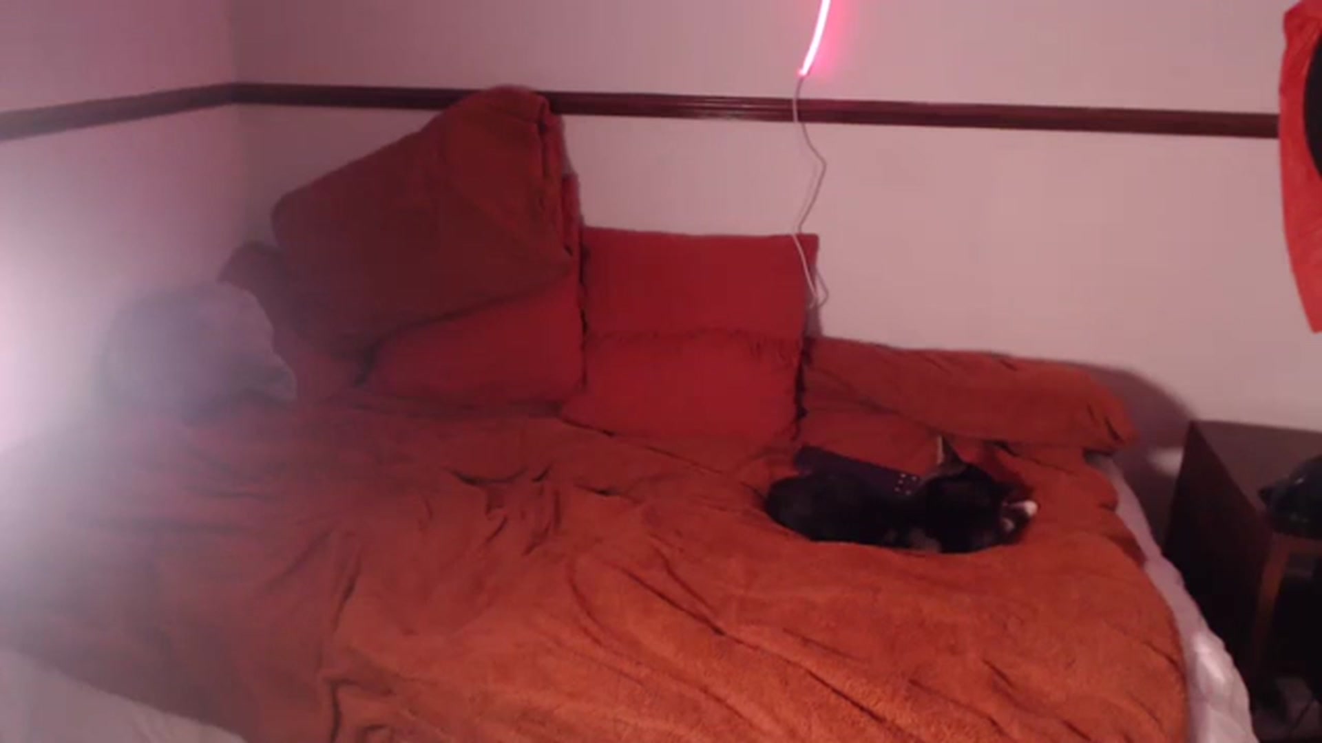 Gallery image thumbnail from KittyCash3w's myfreecams stream on, 10/11/2023, 19:18 image 8 of 20