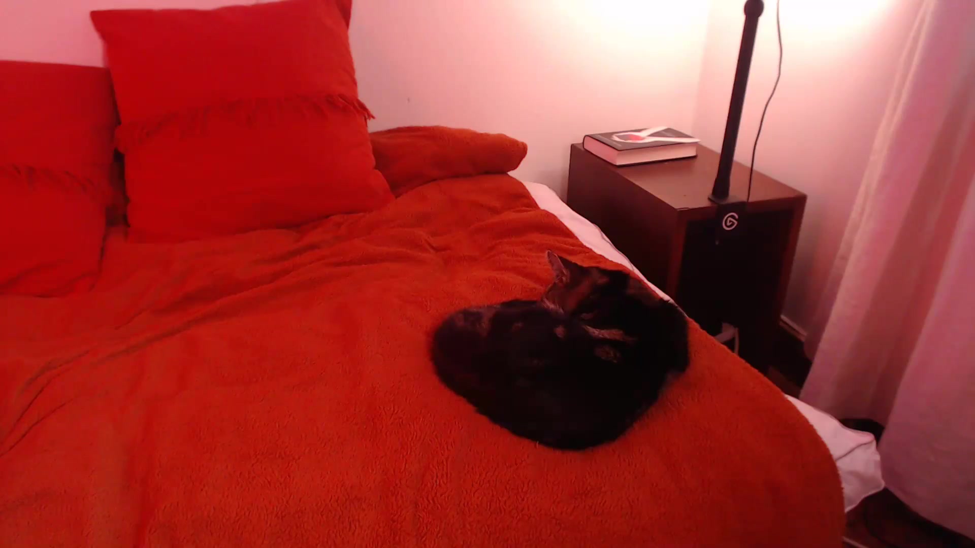 Gallery image thumbnail from KittyCash3w's myfreecams stream on, 10/12/2023, 13:54 image 16 of 20