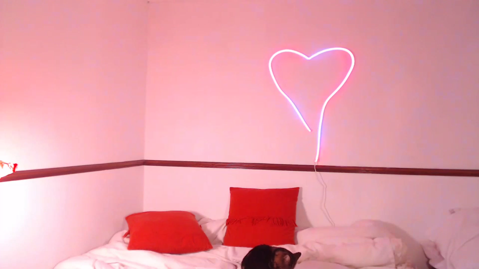 Gallery image thumbnail from KittyCash3w's myfreecams stream on, 10/26/2023, 20:50 image 15 of 20
