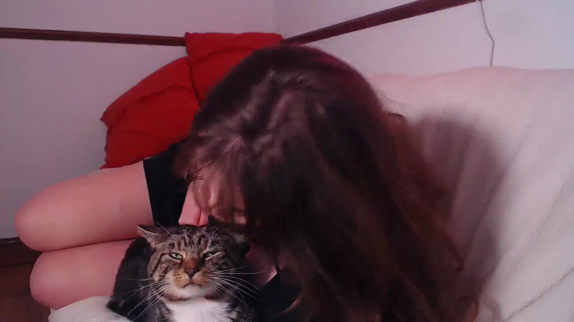 Gallery image thumbnail from KittyCash3w's myfreecams stream on, 12/06/2023, 22:39 image 8 of 20