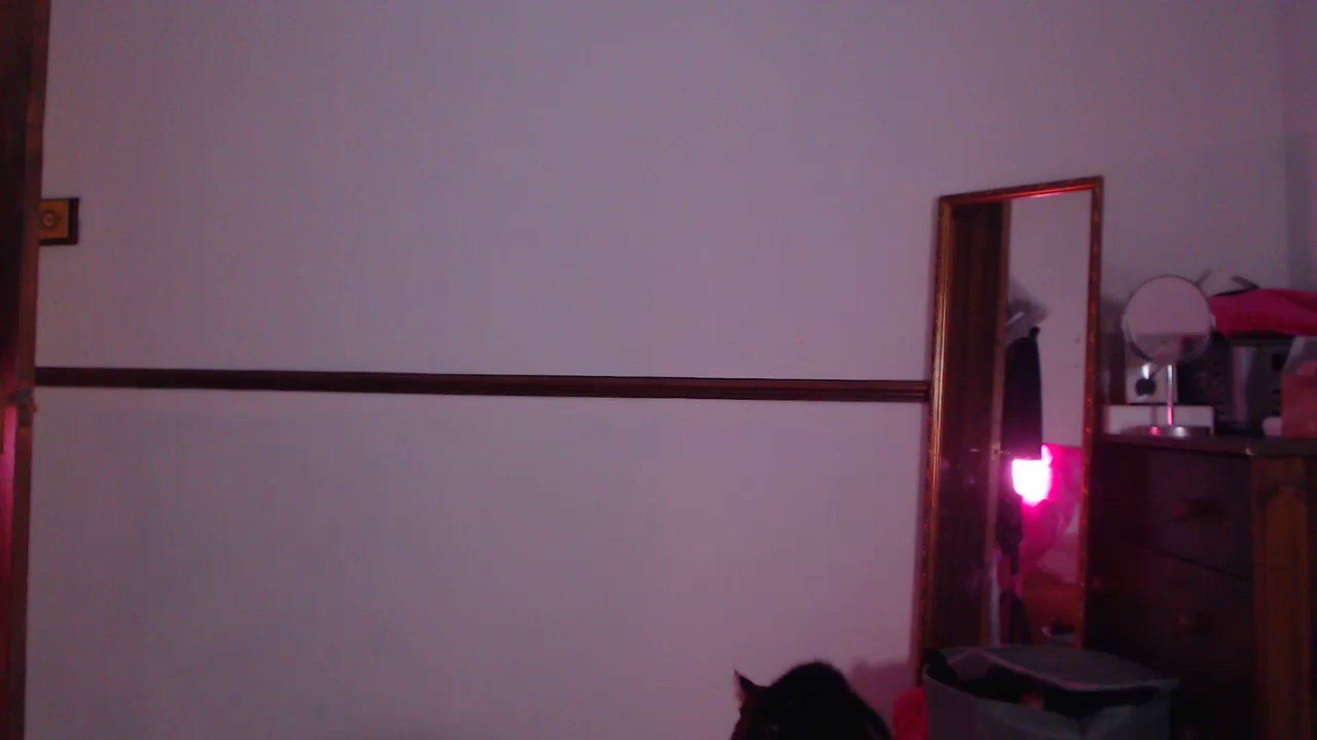 Gallery image thumbnail from KittyCash3w's myfreecams stream on, 03/14/2024, 22:00 image 13 of 20