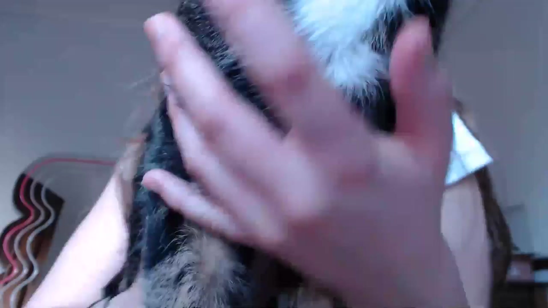 Gallery image thumbnail from KittyCash3w's myfreecams stream on, 05/02/2024, 20:47 image 1 of 20