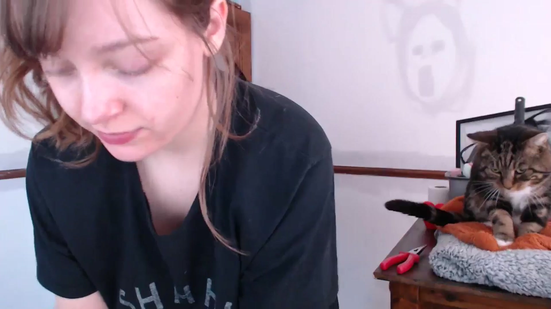 Gallery image thumbnail from KittyCash3w's myfreecams stream on, 05/03/2024, 15:55 image 13 of 20