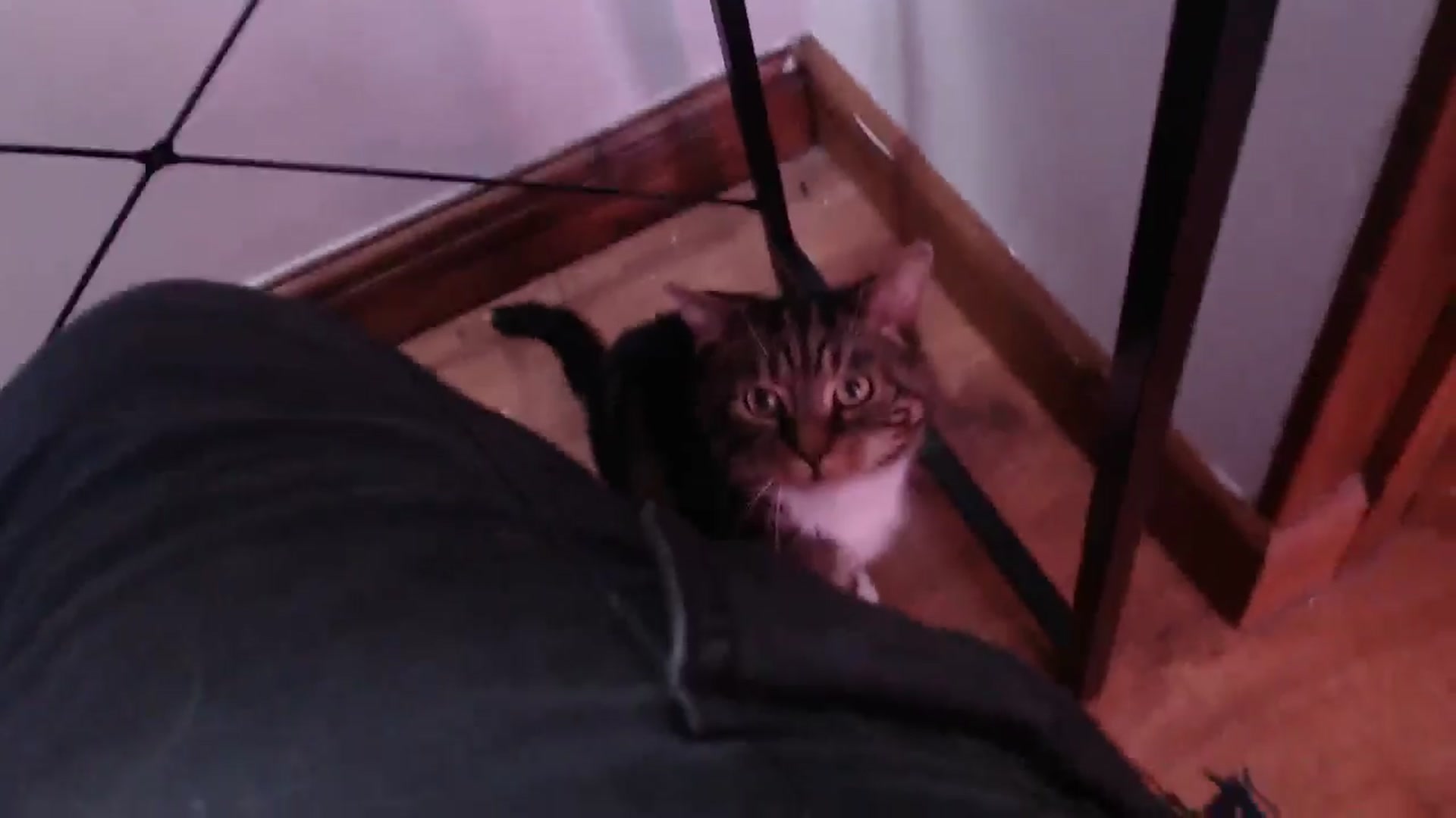 Gallery image thumbnail from KittyCash3w's myfreecams stream on, 05/07/2024, 19:39 image 9 of 20