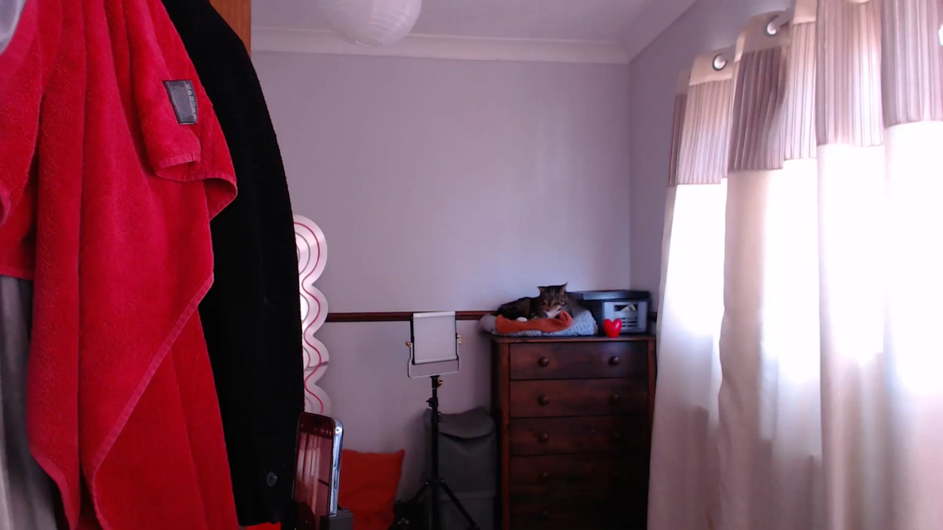Gallery image thumbnail from KittyCash3w's myfreecams stream on, 05/09/2024, 12:48 image 7 of 20