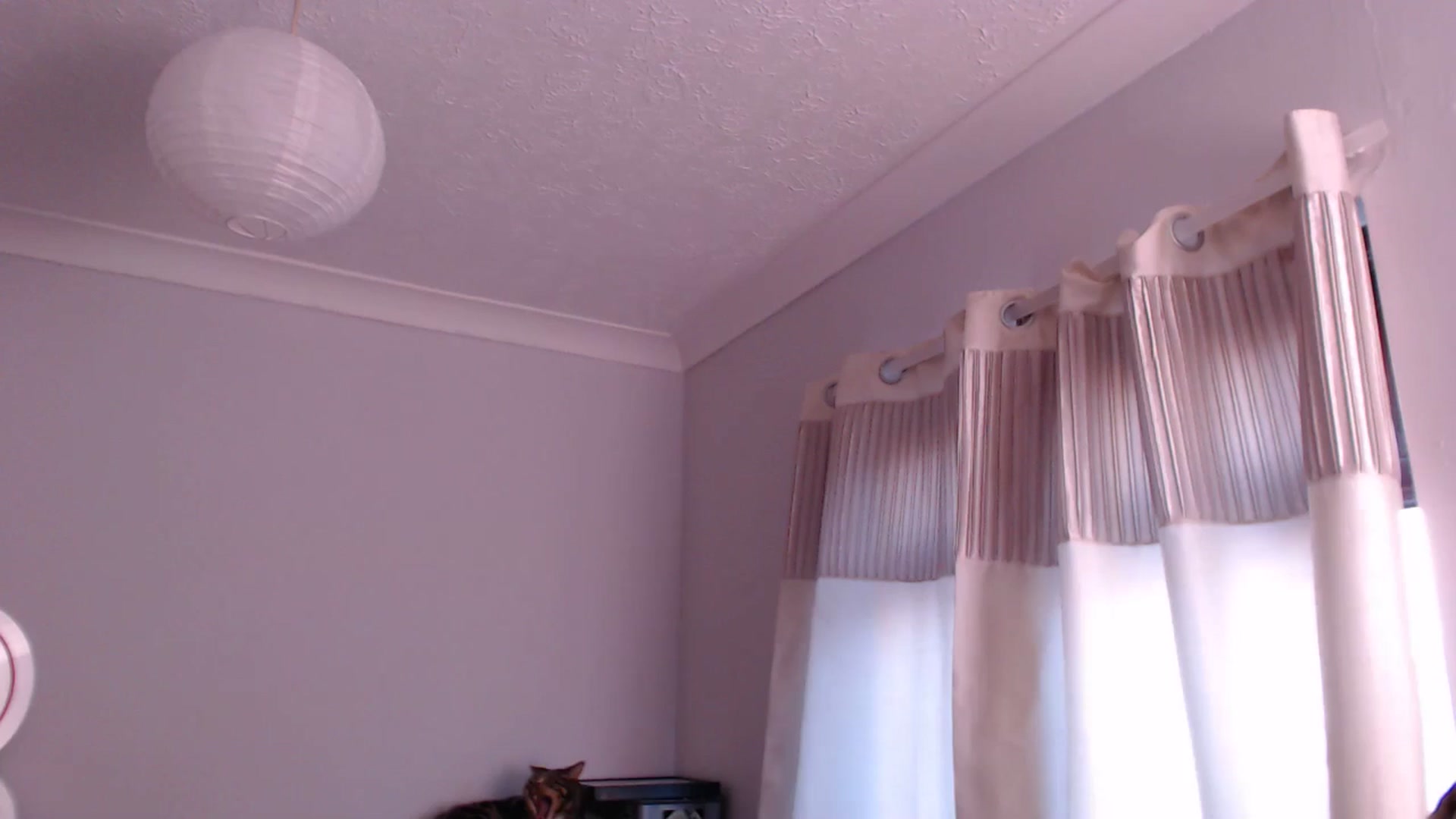 Gallery image thumbnail from KittyCash3w's myfreecams stream on, 05/09/2024, 19:17 image 5 of 20
