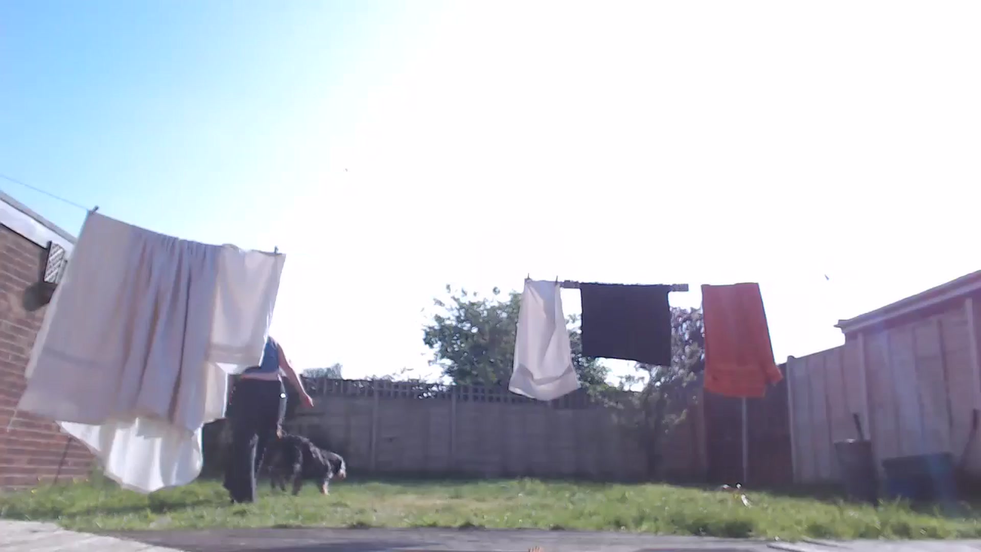 Gallery image thumbnail from KittyCash3w's myfreecams stream on, 05/13/2024, 16:41 image 15 of 20