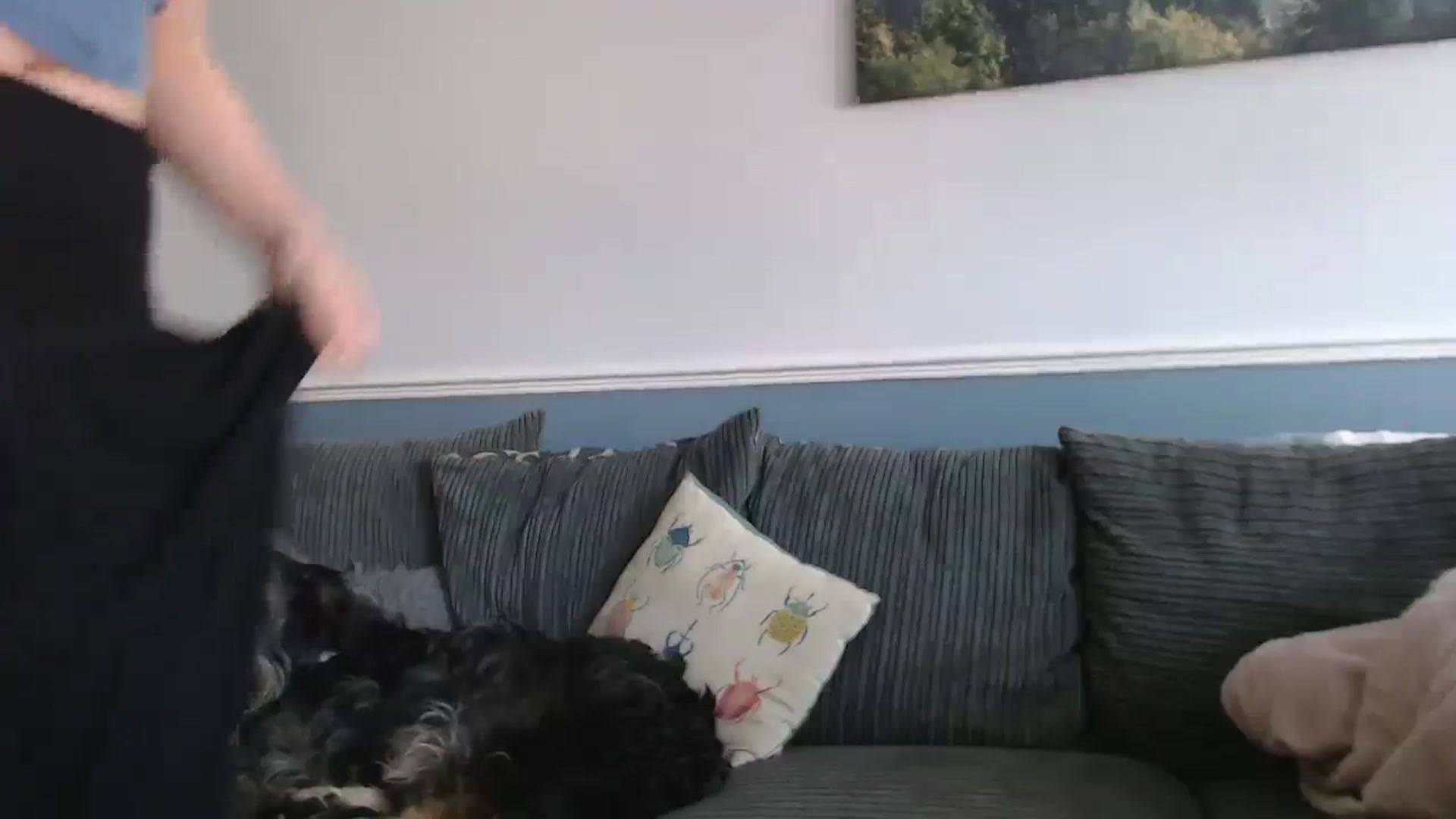 Gallery image thumbnail from KittyCash3w's myfreecams stream on, 05/13/2024, 17:36 image 16 of 20