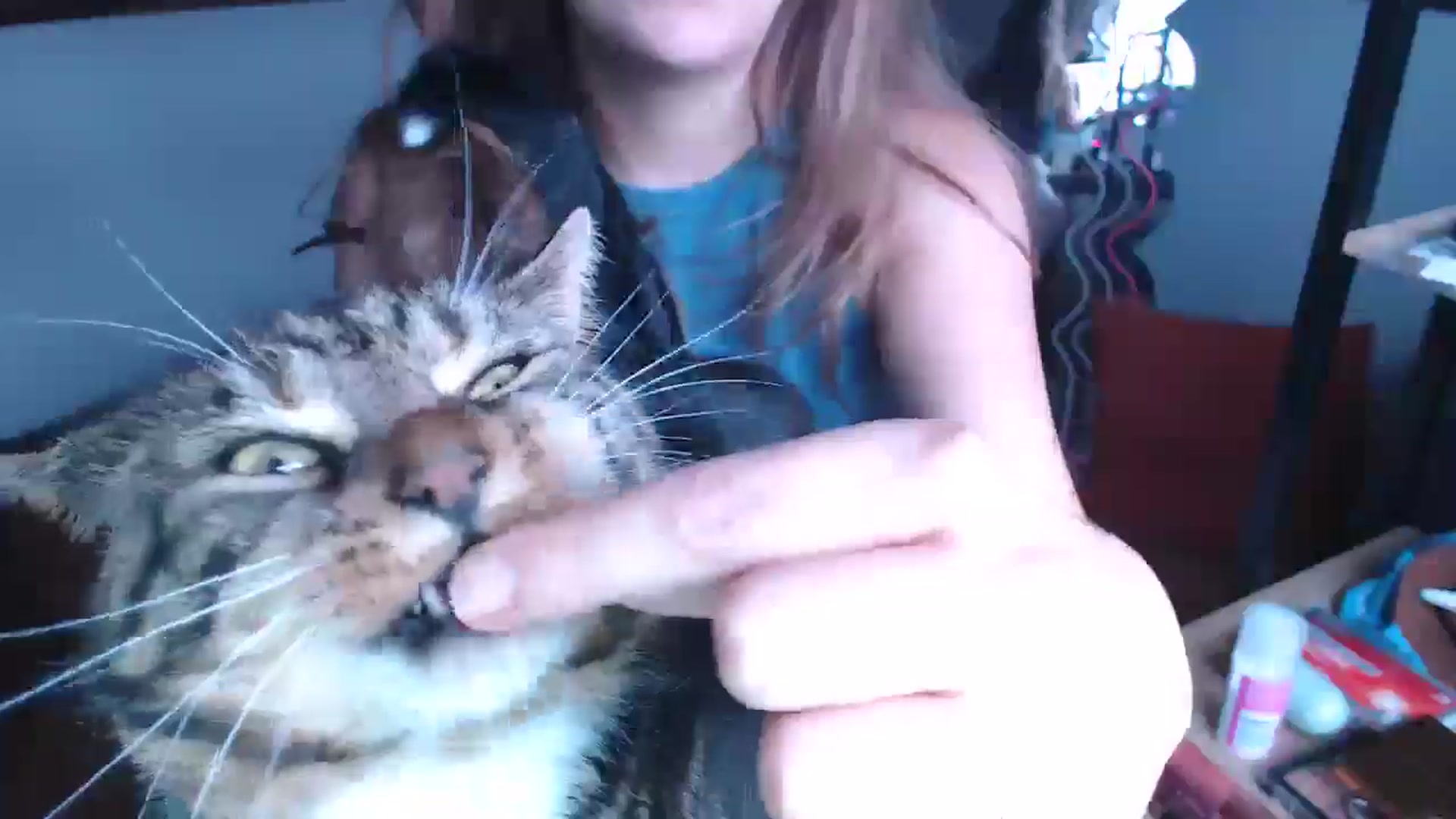 Gallery image thumbnail from KittyCash3w's myfreecams stream on, 07/01/2024, 18:47 image 13 of 20