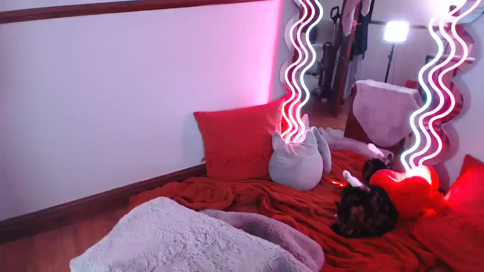 Gallery image thumbnail from KittyCash3w's myfreecams stream on, 07/03/2024, 15:29 image 10 of 20