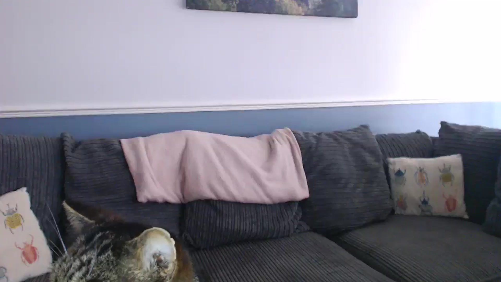Gallery image thumbnail from KittyCash3w's myfreecams stream on, 07/10/2024, 21:16 image 10 of 20