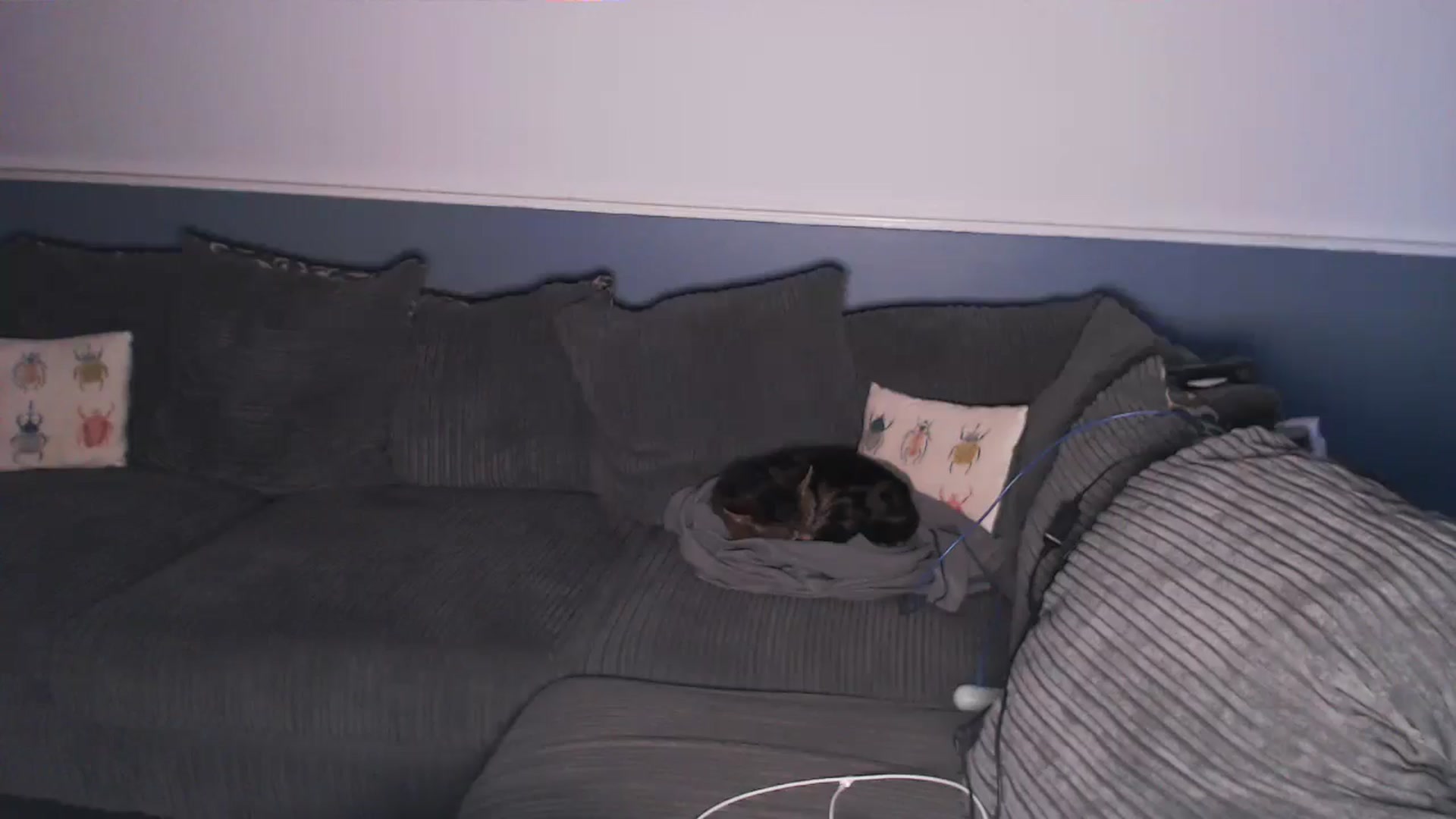 Gallery image thumbnail from KittyCash3w's myfreecams stream on, 07/17/2024, 20:07 image 15 of 20