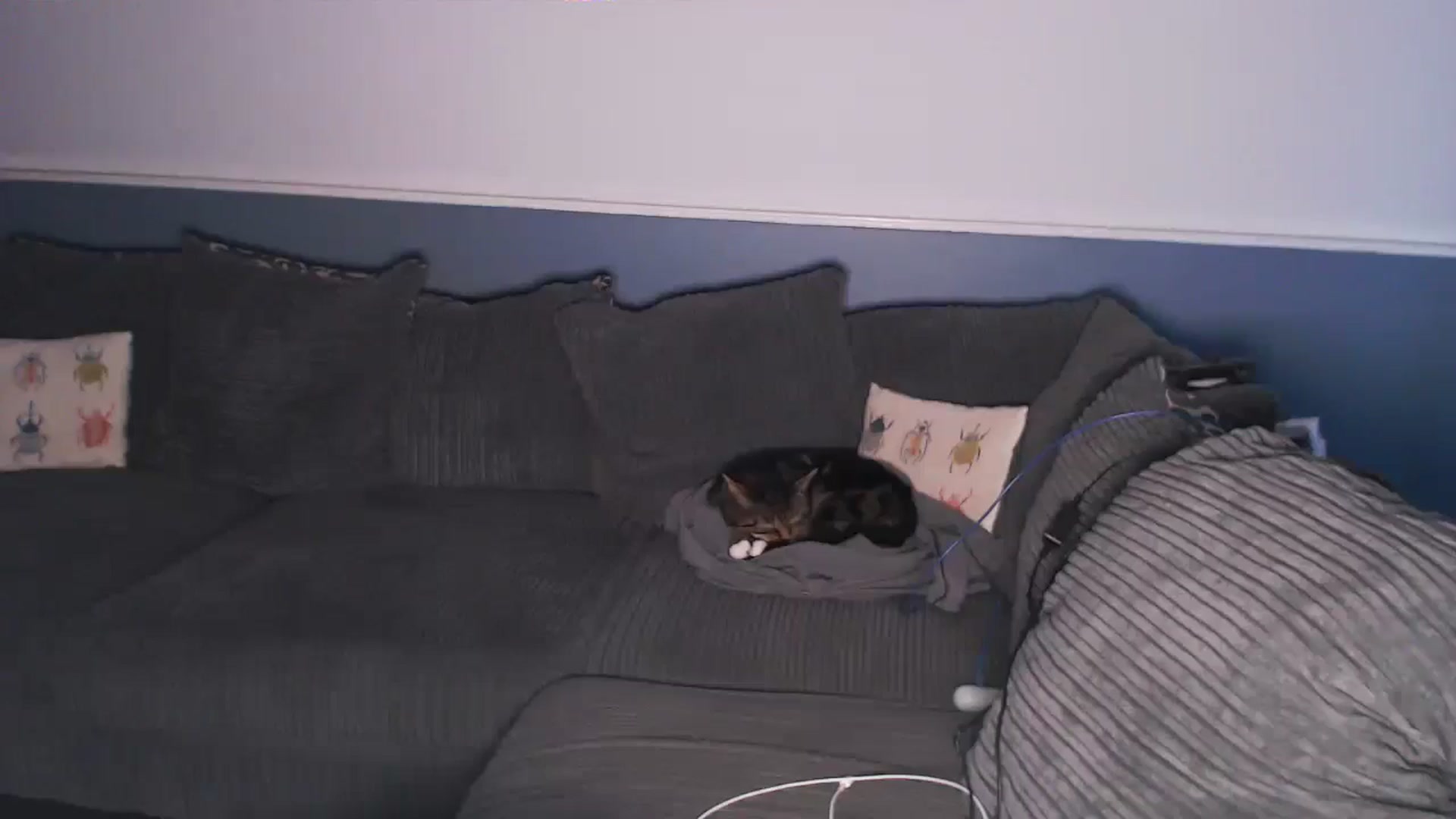 Gallery image thumbnail from KittyCash3w's myfreecams stream on, 07/17/2024, 20:07 image 10 of 20