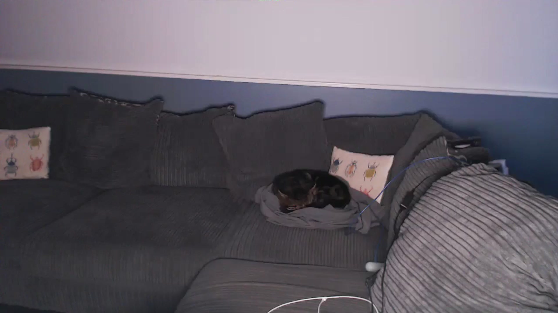 Gallery image thumbnail from KittyCash3w's myfreecams stream on, 07/17/2024, 20:07 image 13 of 20