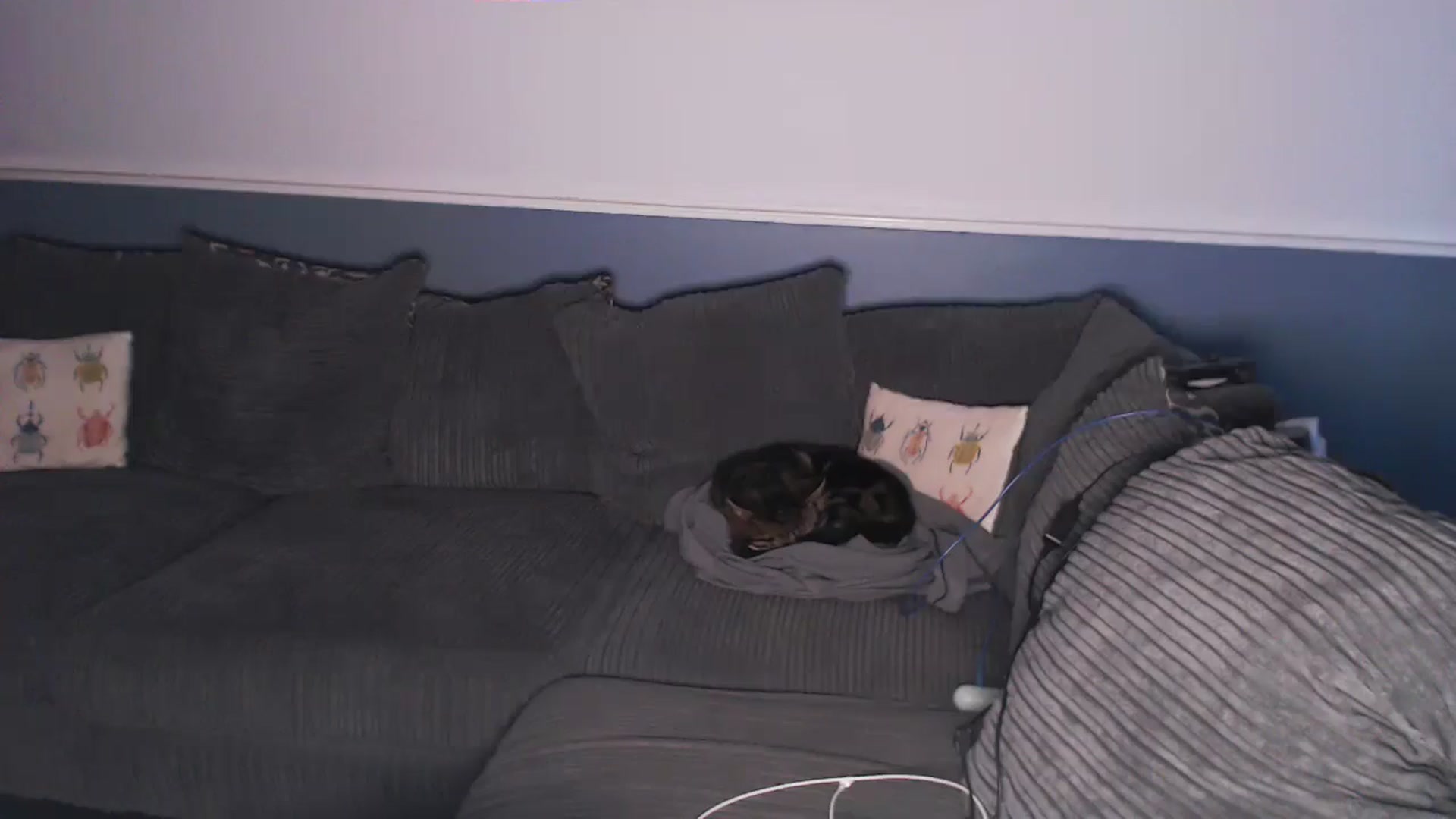 Gallery image thumbnail from KittyCash3w's myfreecams stream on, 07/17/2024, 20:07 image 12 of 20
