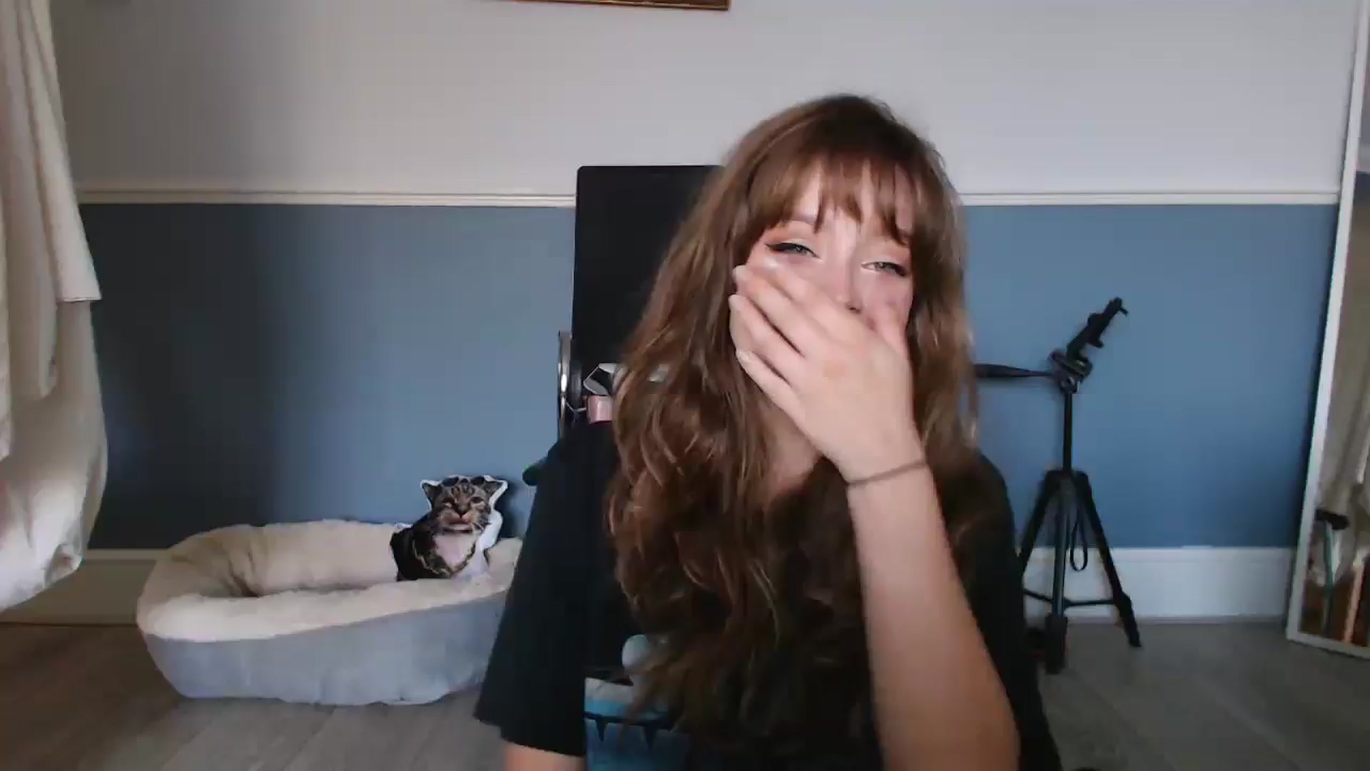 Gallery image thumbnail from KittyCash3w's myfreecams stream on, 08/01/2024, 18:59 image 1 of 20