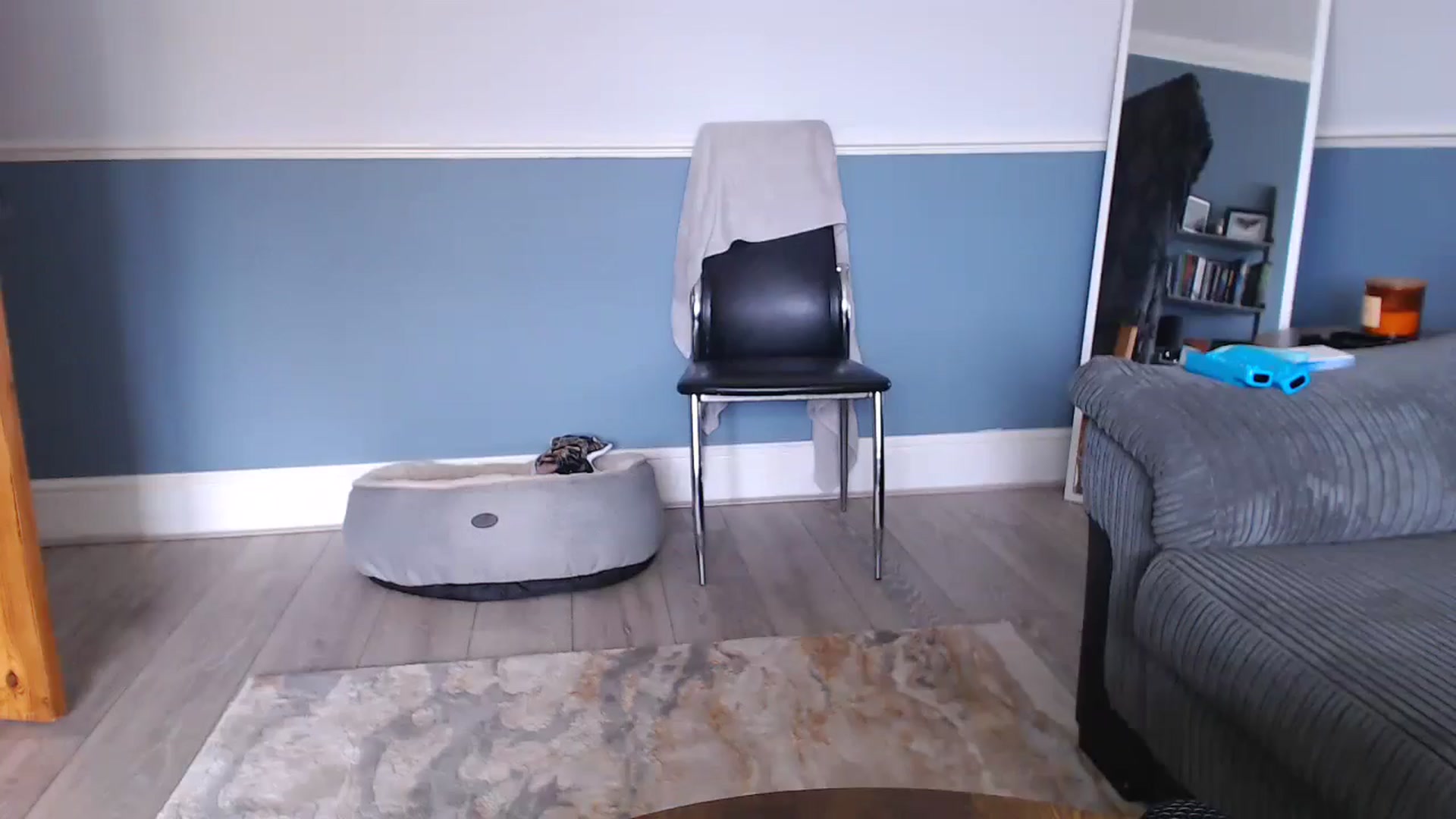 Gallery image thumbnail from KittyCash3w's myfreecams stream on, 08/10/2024, 14:26 image 7 of 20