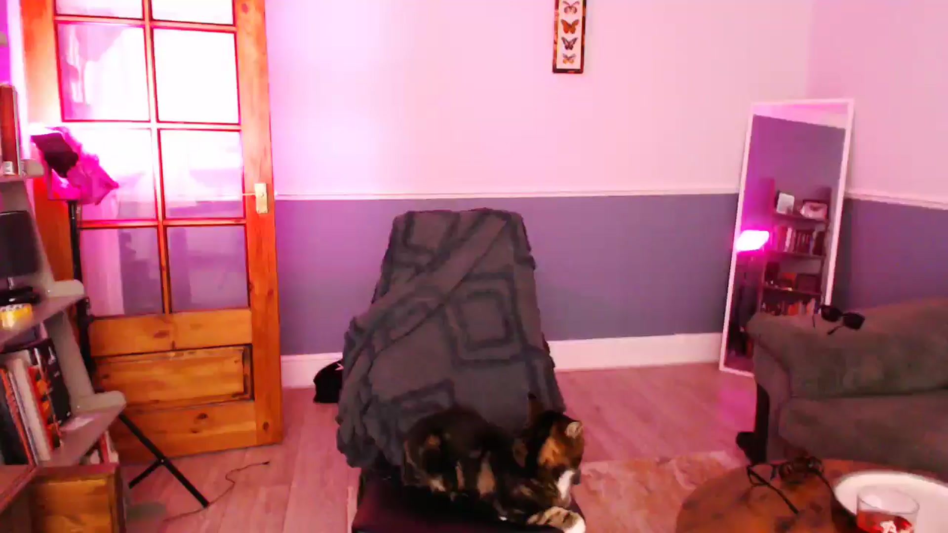 Gallery image thumbnail from KittyCash3w's myfreecams stream on, 08/21/2024, 21:33 image 14 of 20
