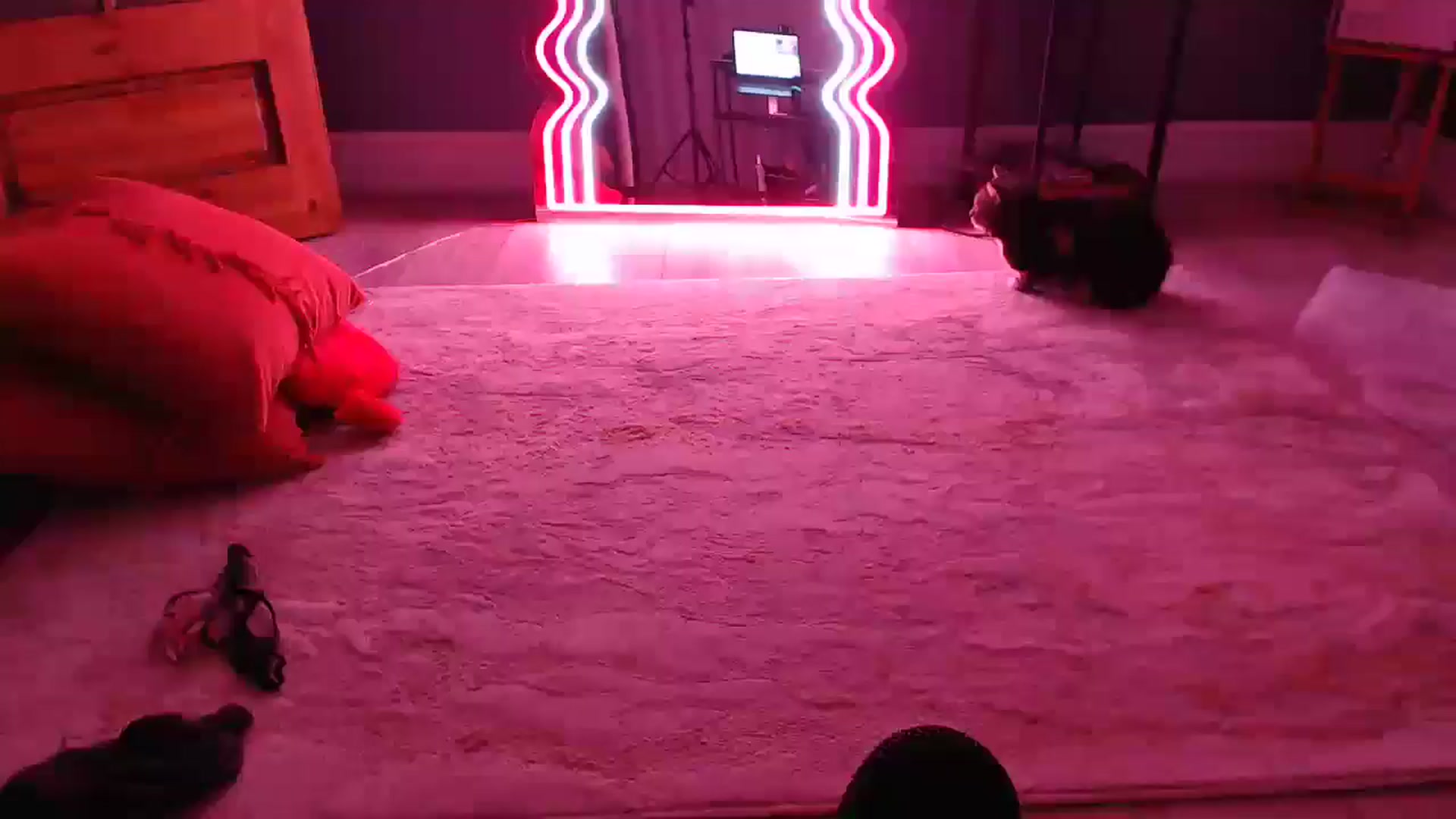 Gallery image thumbnail from KittyCash3w's myfreecams stream on, 09/11/2024, 03:43 image 18 of 20