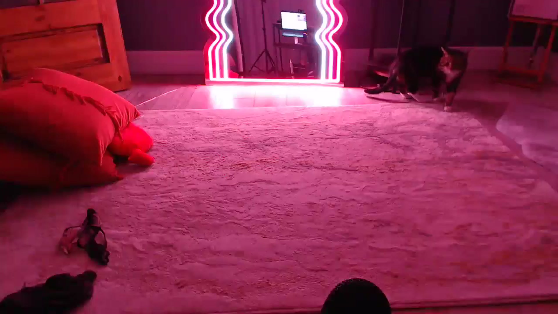 Gallery image thumbnail from KittyCash3w's myfreecams stream on, 09/11/2024, 03:43 image 17 of 20