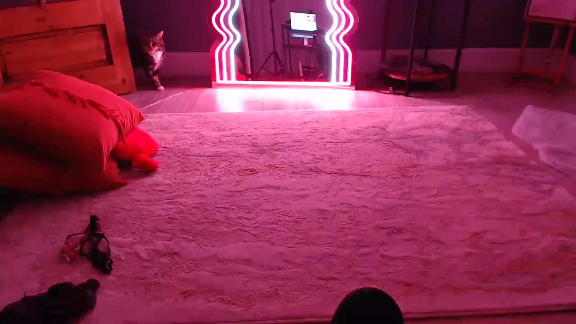 Gallery image thumbnail from KittyCash3w's myfreecams stream on, 09/11/2024, 03:43 image 16 of 20