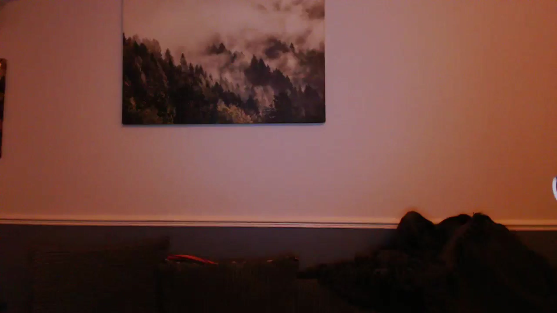 Gallery image thumbnail from KittyCash3w's myfreecams stream on, 09/13/2024, 21:55 image 4 of 20