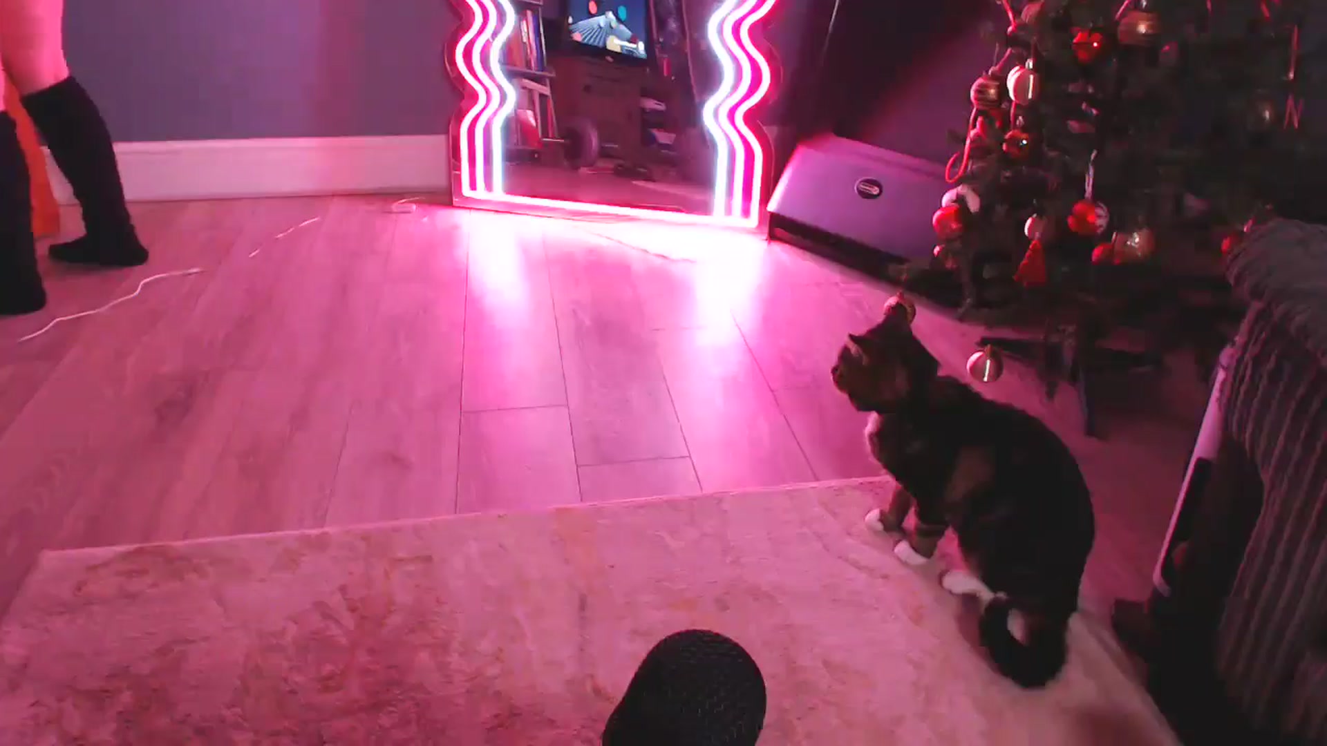 Gallery image thumbnail from KittyCash3w's myfreecams stream on, 12/03/2024, 19:24 image 8 of 20