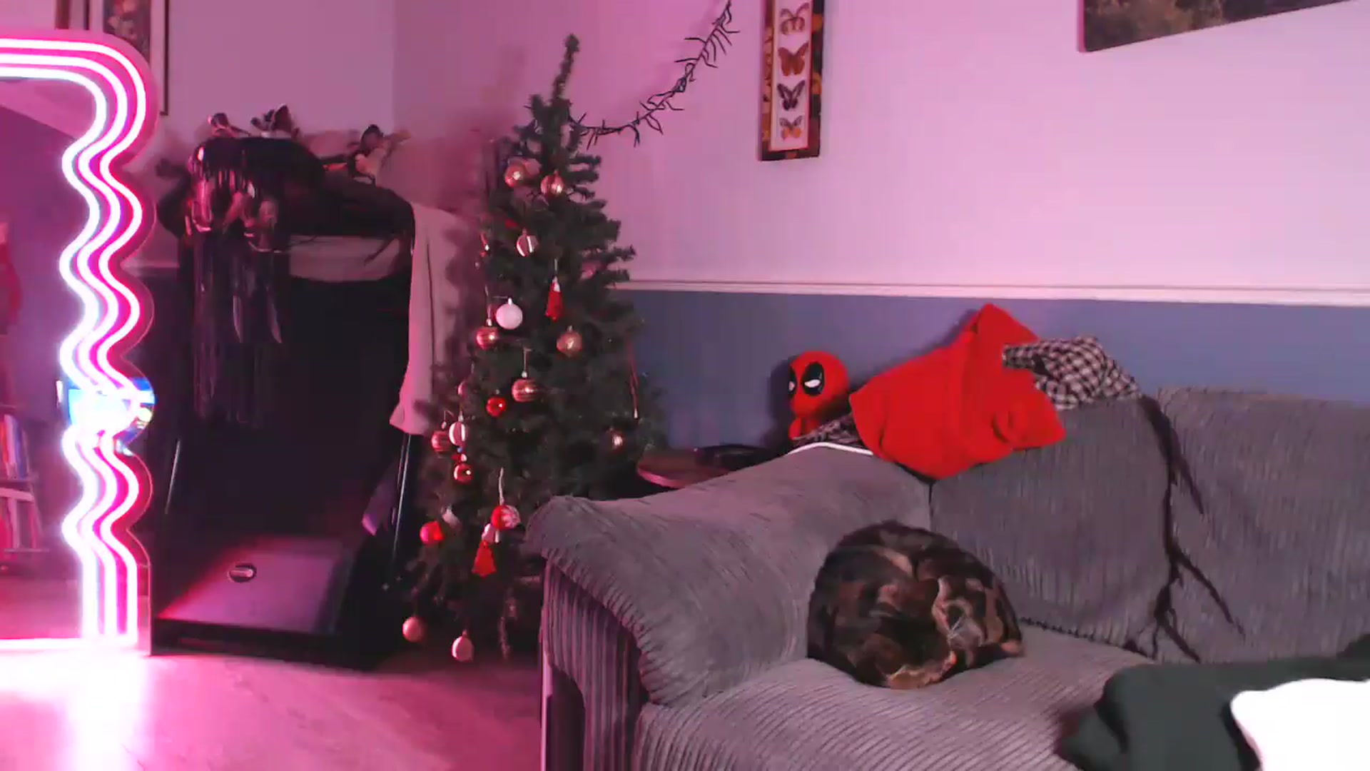 Gallery image thumbnail from KittyCash3w's myfreecams stream on, 12/04/2024, 22:34 image 8 of 20