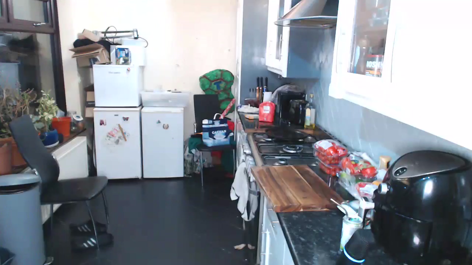 Gallery image thumbnail from KittyCash3w's myfreecams stream on, 12/18/2024, 19:12 image 3 of 20
